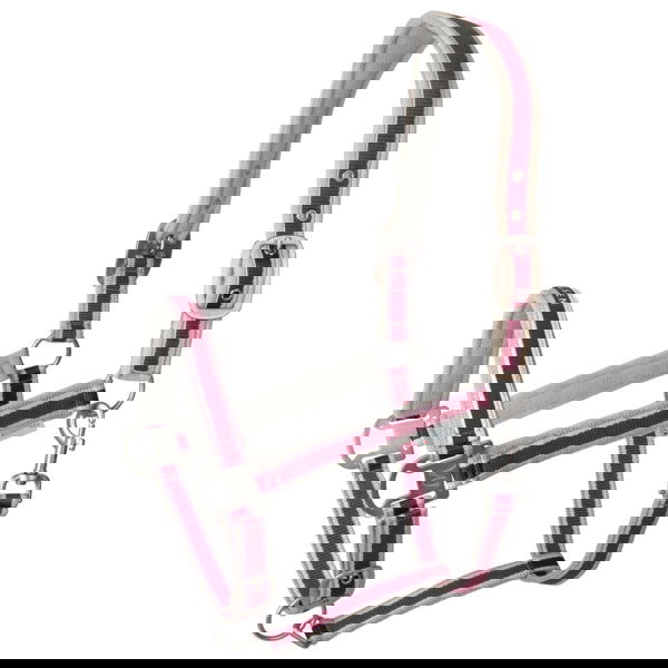 Waldhausen Halfter Athletic FS25, Nylonhalfter