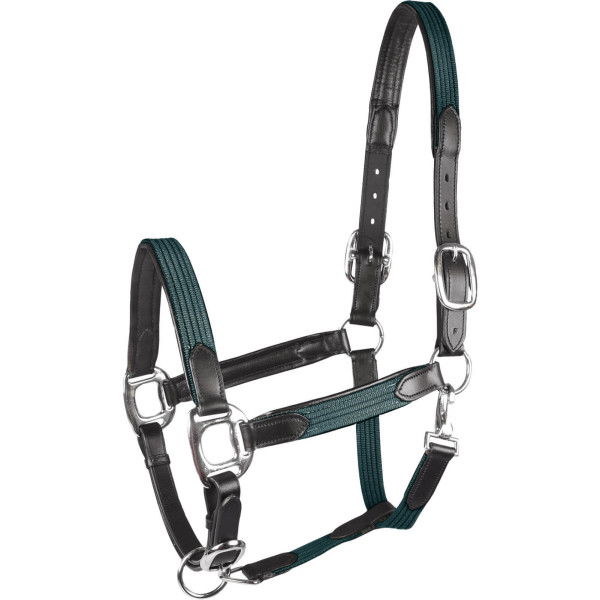 Star Halfter Mix, Leather Halter, Webbing Halter