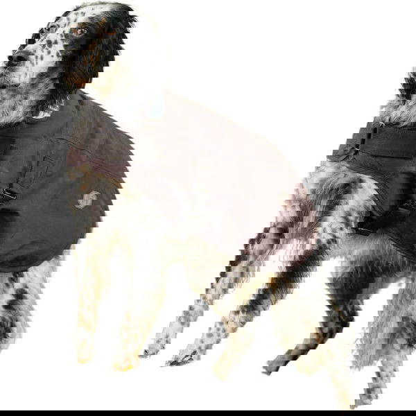 Horseware Dog Coat Newmarket FW25, Dog Rug, with Fleece