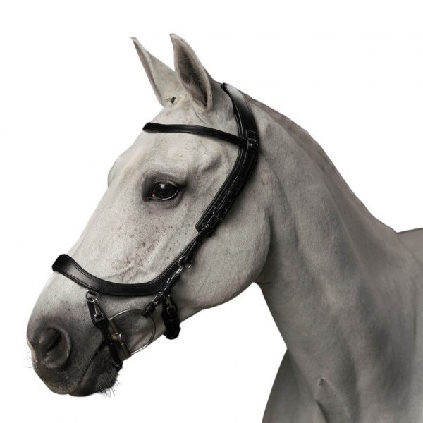 PresTeq Anatomical Special Bridle FaySport, Without Reins
