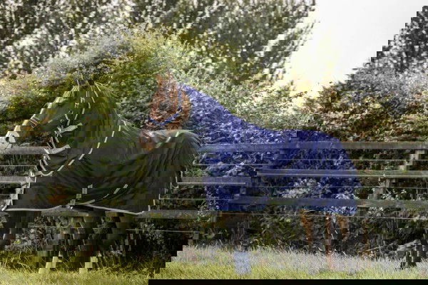 Bucas Outdoordecke Atlantic Exclusive & Neck, 150 g, Weidedecke, mit abnehmbarem Halsteil