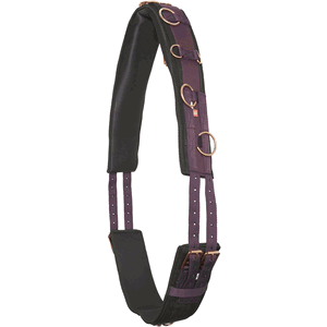 Imperial Riding Longiergurt Nylon Deluxe Extra Imperial Riding Longiergurt Nylon Deluxe Extra