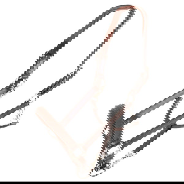 Trust Halfter San Miguel, Lederhalfter