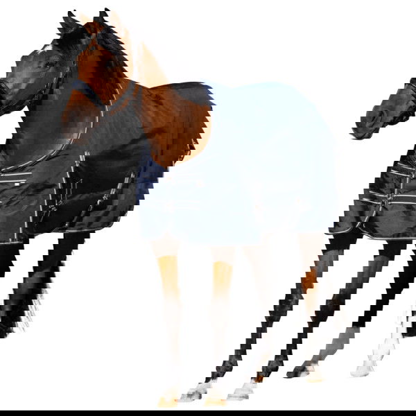 Imperial Riding Outdoor Rug IRHBasic, 200 g, Winter Rug