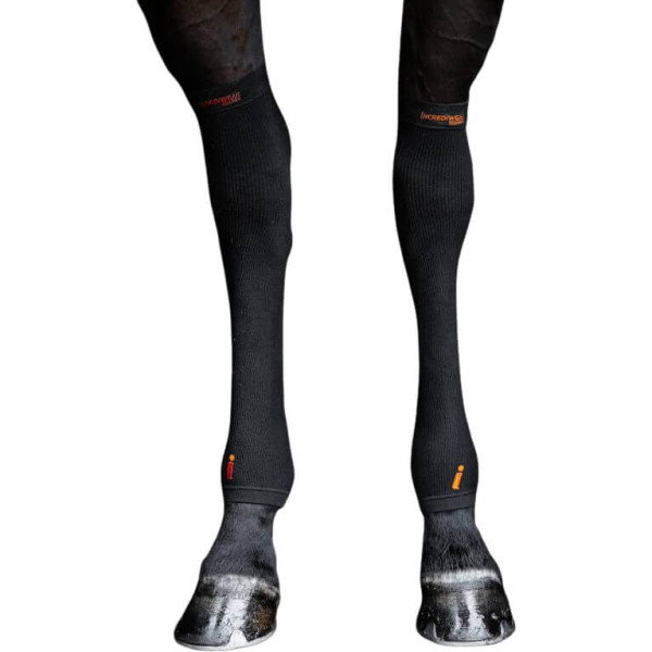 Incrediwear Equine Regenerationsstrumpf, für Fessel- und Sprunggelenk, 2er Set