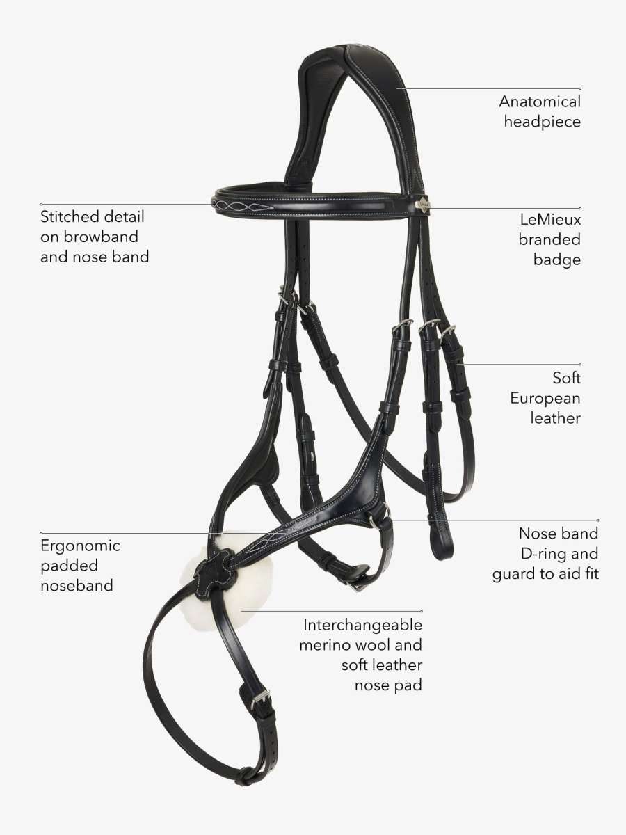 LeMieux Bridle Kudos Grackle | FUNDIS Equestrian