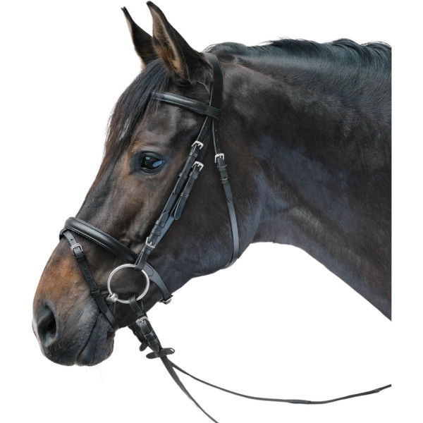 Star Bridle Lifestyle, English Combined, with Reins