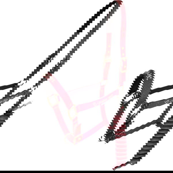 Etalon Vert Halfter Set De Niro, Nylonhalfter, mit Strick