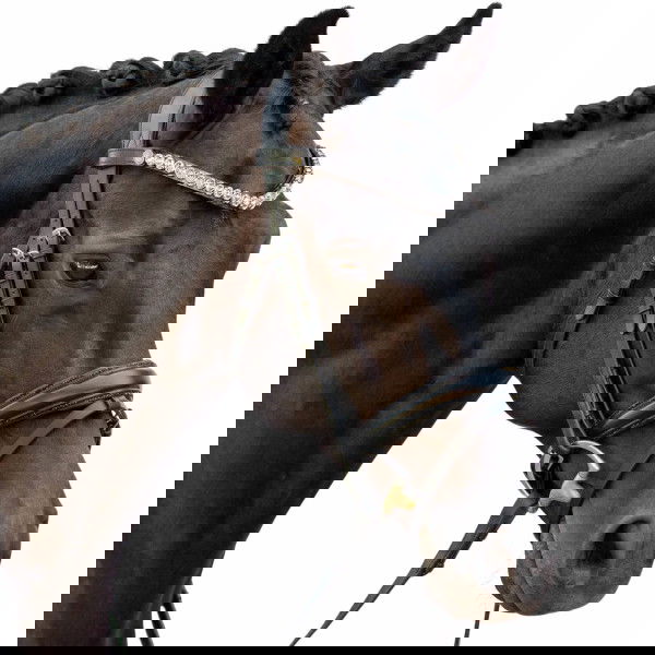 Bridlery Bridle Charm, Swedish Combined, with Neck Freedom, Glitter, without Reins