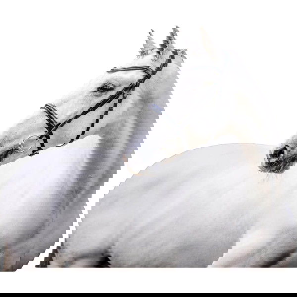 Horseware Bridle Cavesson FW25, English Nosebands, without Reins, without Locking Strap