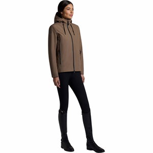 Veste Cavalleria Toscana GP Show 8540 Noyer – Modèle 2025 Neuve