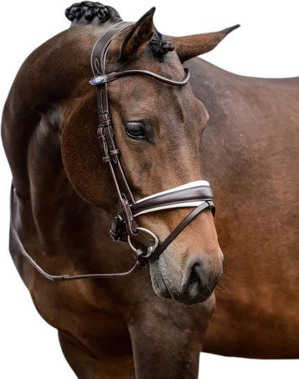 PS of Sweden Bridle GP, Swedish Noseband, Round-Stitched, without Reins