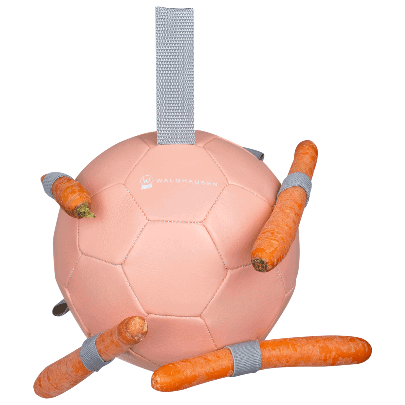 Waldhausen Karottenball