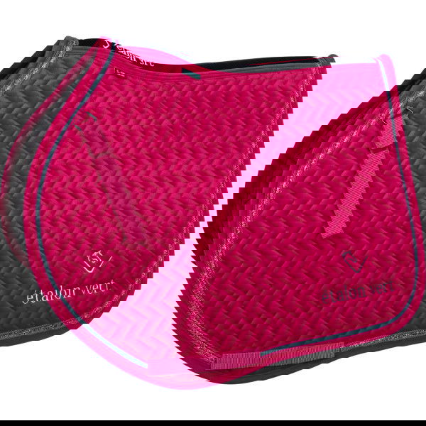 Etalon Vert Schabracke, Springschabracke