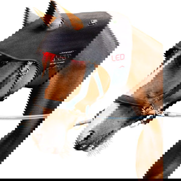 Horseware Therapy Mask Poll Cap LED Red Light Therapy FW25