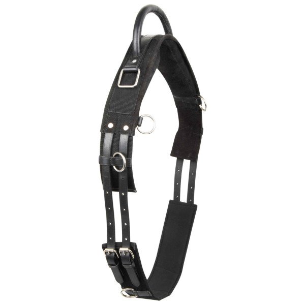 Imperial Riding Lunge Girth IRHVito, with Handle