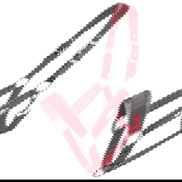 LeMieux Halter Versailles FW25, Nylon Halter