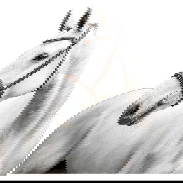 Horseware Bridle Cavesson FW25, English Nosebands, without Reins, without Locking Strap