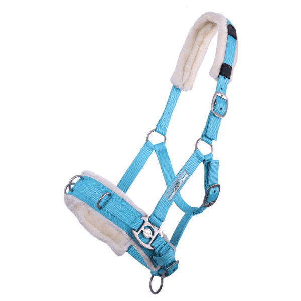 QHP Cavesson, Lunging Halter, Nylon