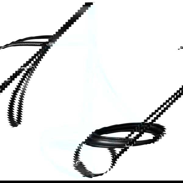 Passier Trense Juno, englisch kombiniert, ohne Zügel