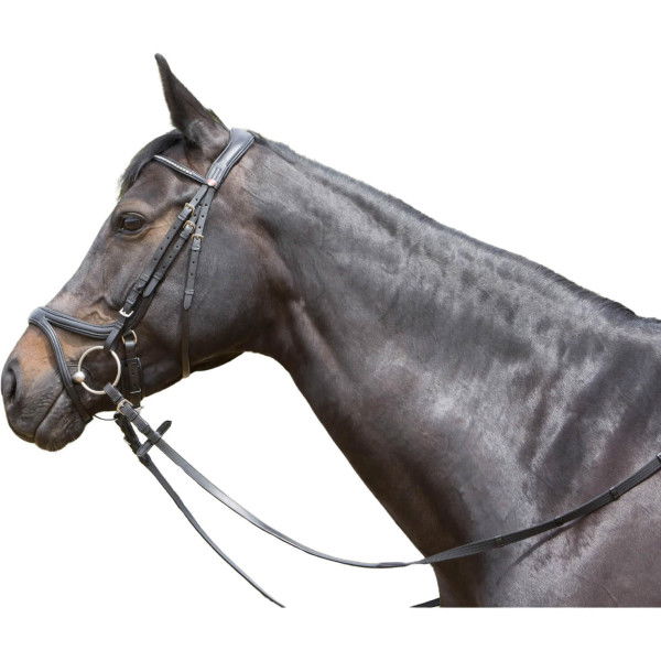 Kieffer Bridle Ultrasoft Tara, Swedish Combined, with Reins