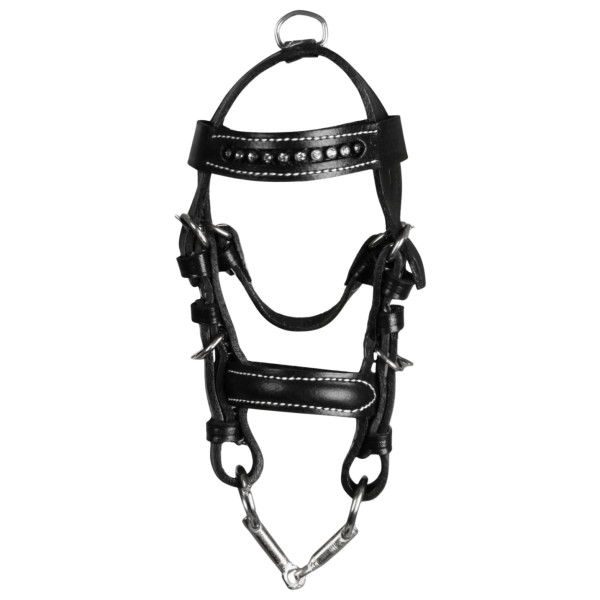 Waldhausen Miniature Bridle, Decoration Bridle