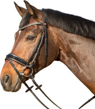 Kieffer Trense Comfort Paris II, englisch kombiniert, mit Zügeln