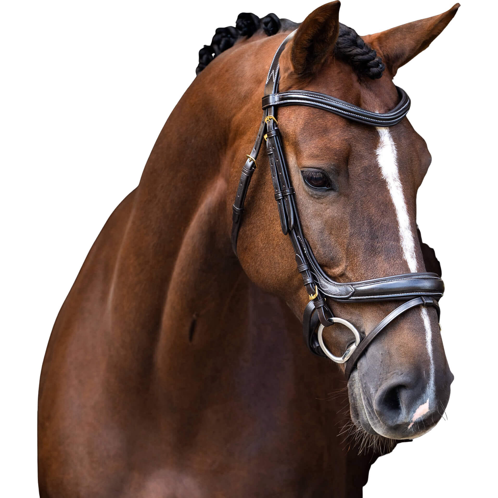 Imperial Riding Trense IRH, englisch kombiniert, anatomisch, ohne Zügel