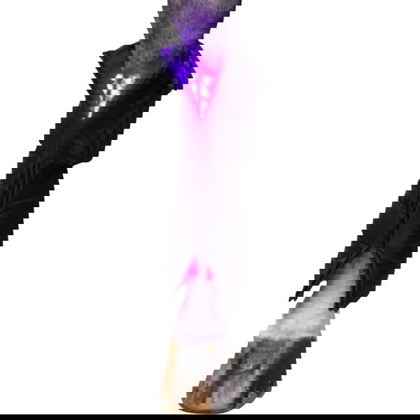 Equine LTS Tehrapie Boot LED Light Therapy 3.0, 1 Piece