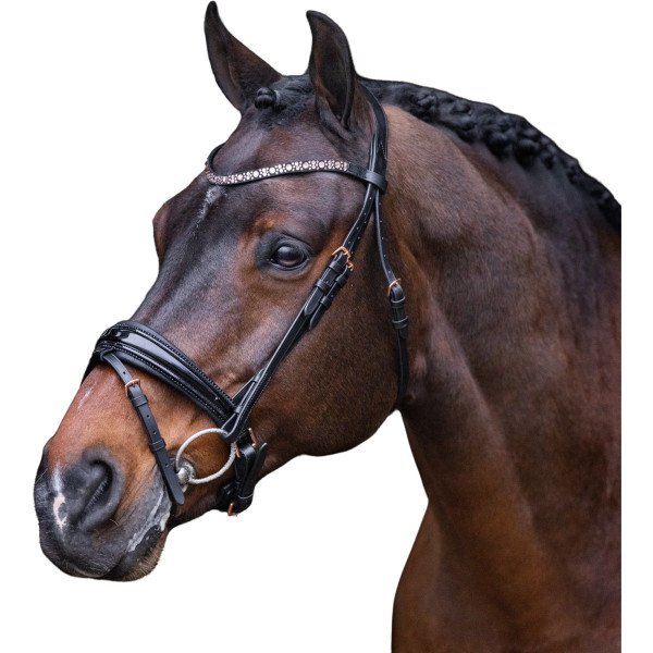Imperial Riding Bridle IRHOlympia, Swedish Combined, without Reins