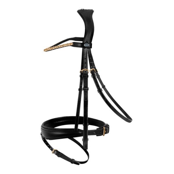 Passier Bridle Favorite with Combined Noseband and Padded Flash Strap Eyelet