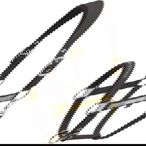 Eskadron Halfter Faux Leather Double Pin Heritage 25/26