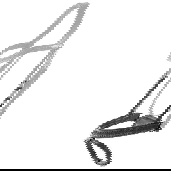 Dyon Wechselnasenriemen Plaited Flash NEC, schwedisch kombiniert