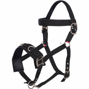 Imperial Riding Kappzaum IRH, Nylon Imperial Riding Kappzaum IRH, Nylon