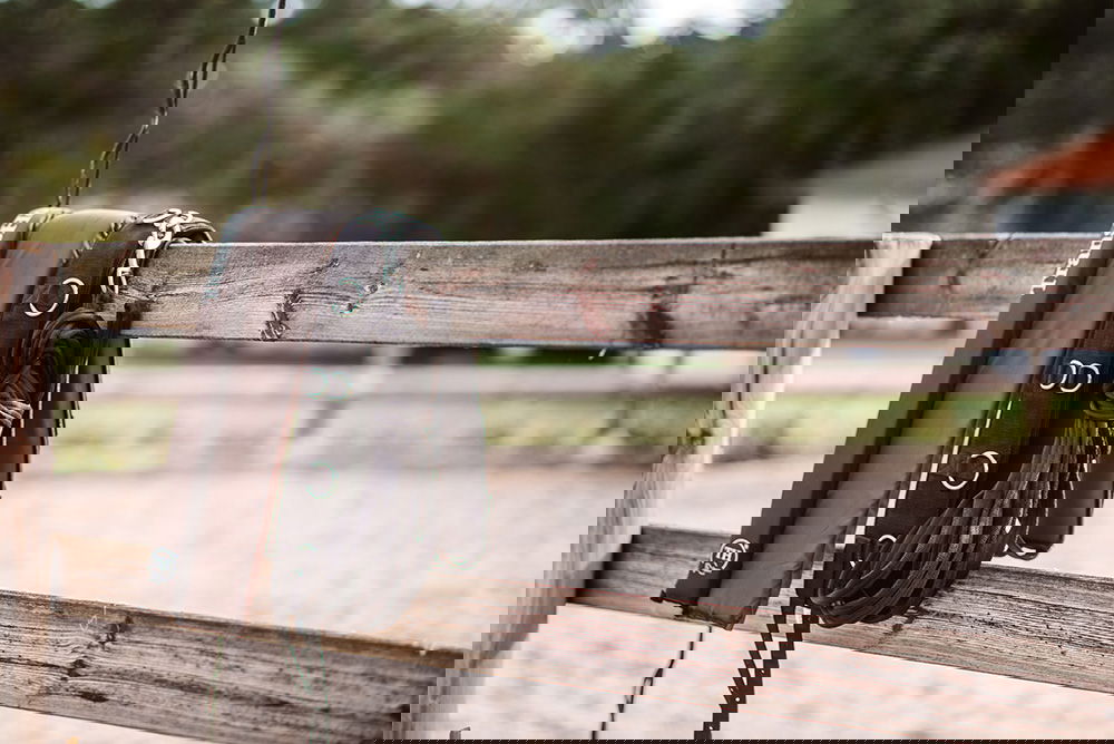 High Quality Lunging Equipment buy now FUNDIS Equestrian