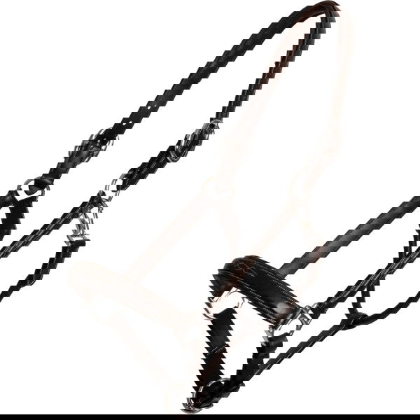 Dyon Halter Fancy WC, Leather Halter