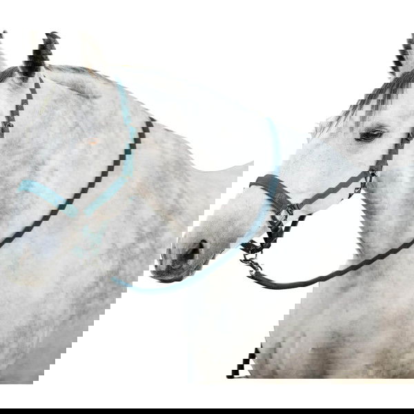 Horseware Halfter Set HW25, Nylonhalfter, mit Führstrick