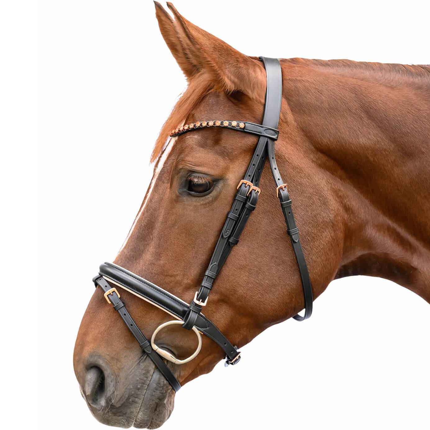 Star Trense Roségold, englisch kombiniert, mit Zügeln