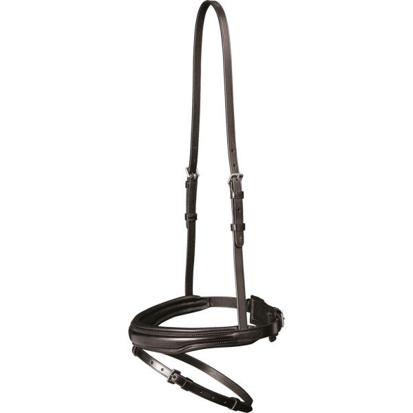 Waldhausen Nosebands X-Line, English Combined