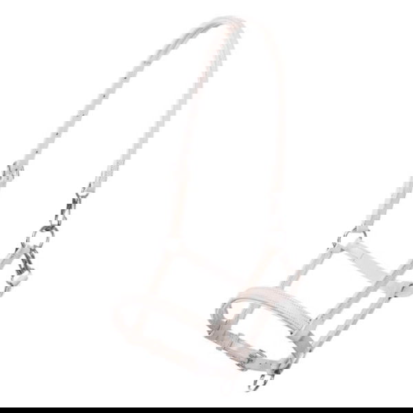 Kavalkade Halter, Foal Halter, Yearling Halter, Leather Halter