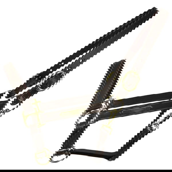 EQUEST Halter Inscribe, Leather Halter