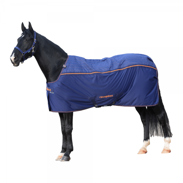 Bucas Magnetic Field Blanket Therapy Cooler
