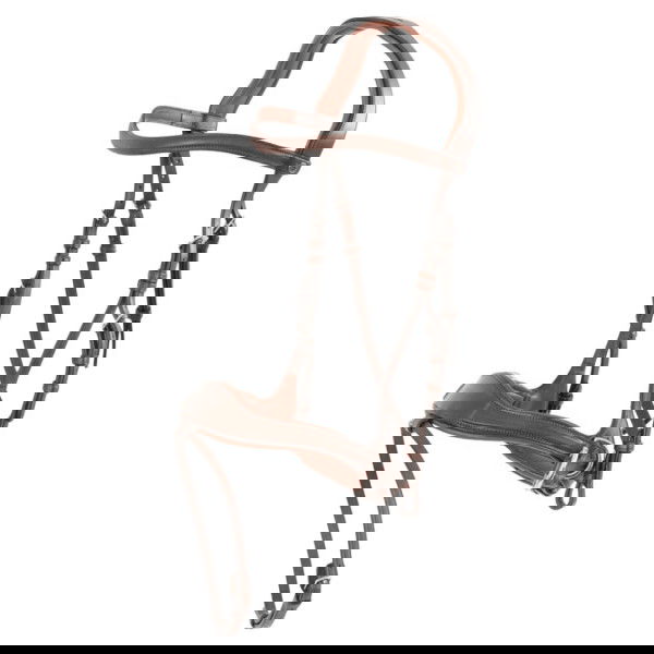 Trust Trense Falsterbo T-Motion, englisch kombiniert, 5-in1, Sidepull, Crosspull, ohne Zügel