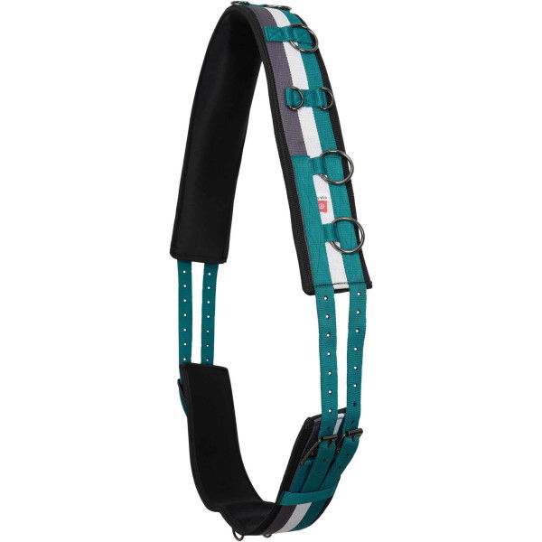 Imperial Riding Lunging Girth Nylon Deluxe