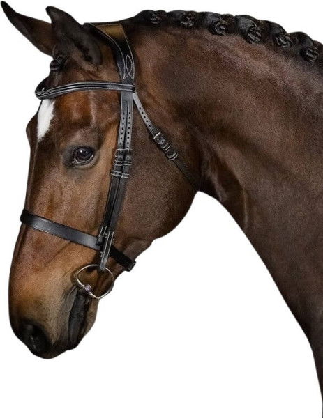 PS of Sweden Bridle Wellington, English, without Reins