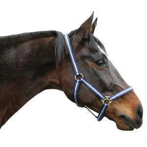 Covalliero Halfter Hippo, Nylonhalfter Covalliero Halfter Hippo, Nylonhalfter