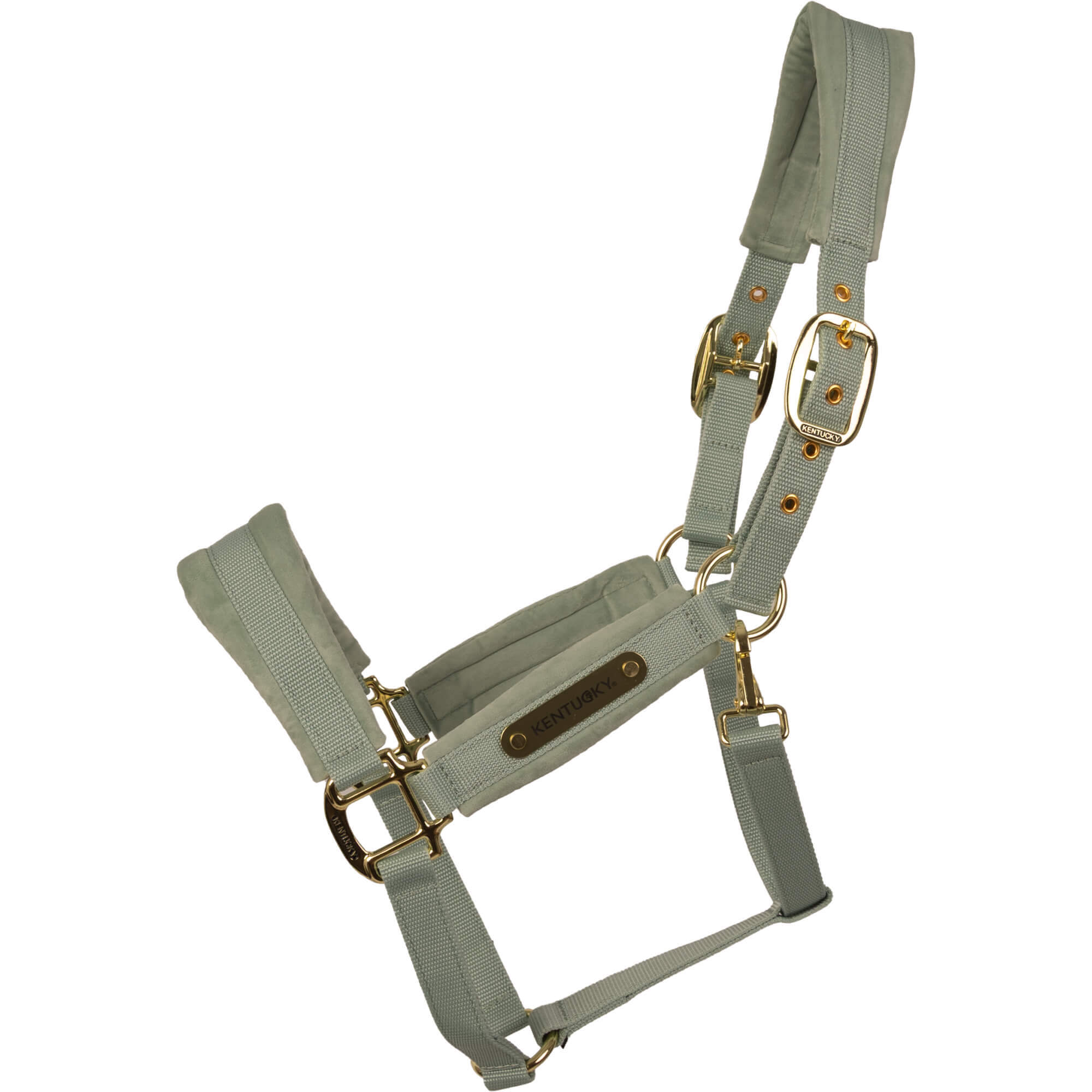 Kentucky Horsewear Halfter Velvet, Nylonhalfter, Samthalfter