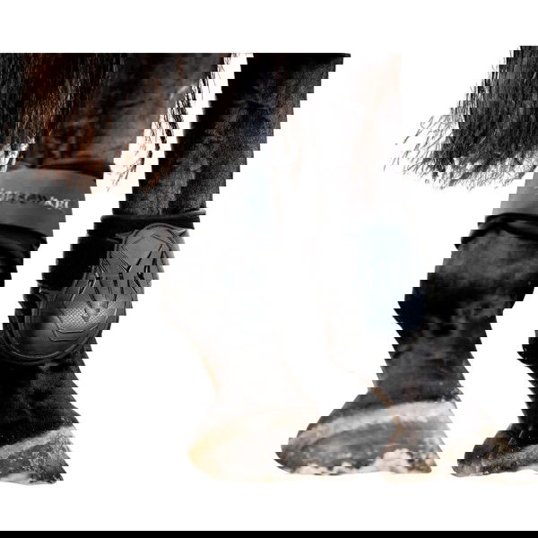 Horseware Fetlock Boots Classic FW25