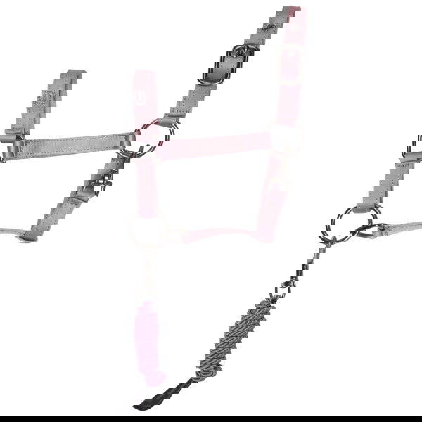 Imperial Riding Hobby Horse Halfter, Hobby Horsing