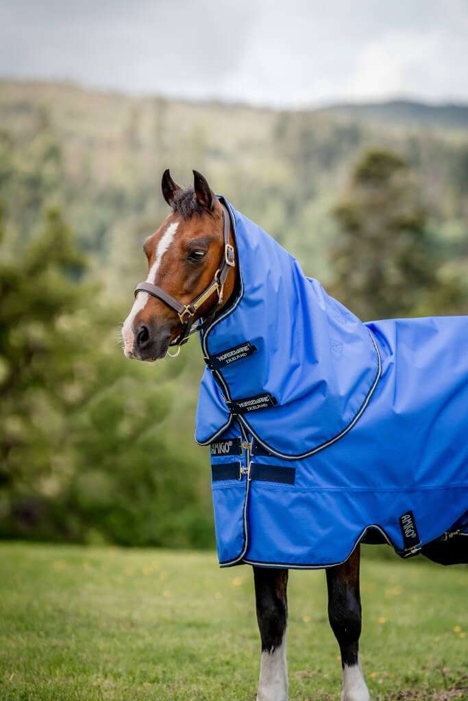 【fabfour.horse.1968】Zo ケース fabfour.horse.1968】Zo ケース fabfour.horse.1968】Zo ケース Amazon